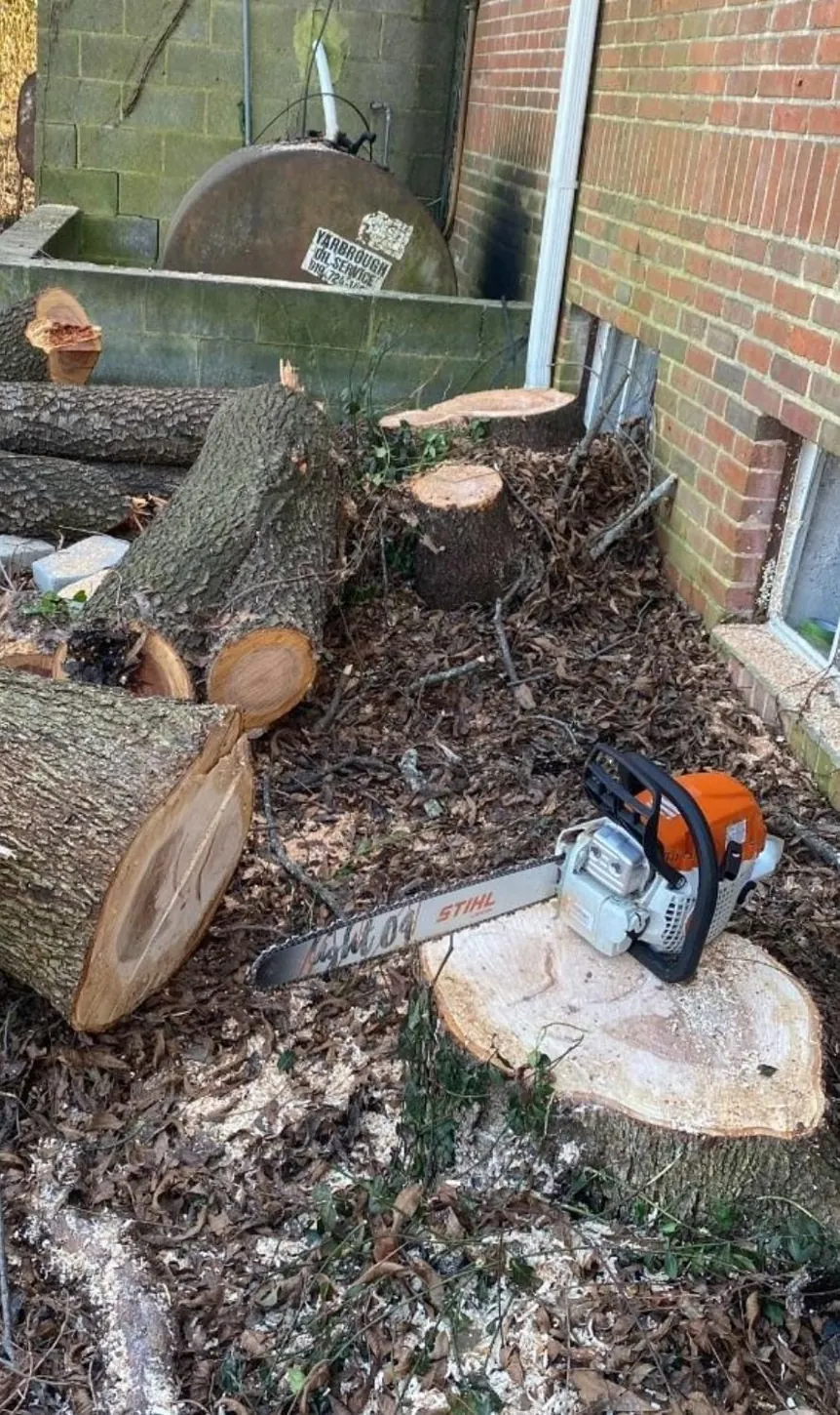 Tree cutting and debris removal